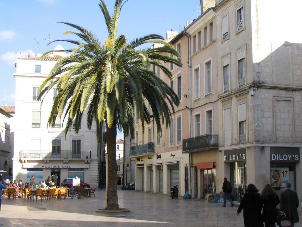Le Logis De L'etoile Apartment Nimes